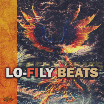 Cartel Loops Lo-Fily Beats WAV MiDi-DISCOVER
