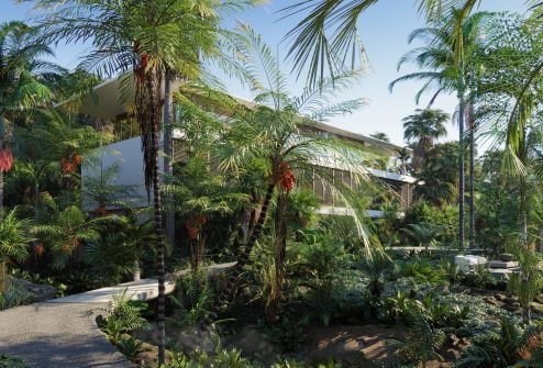 Globe Plants – Bundle 15 – Palm World (3D Models)