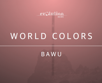 Evolution Series World Colors Bawu v2.0 KONTAKT screenshot