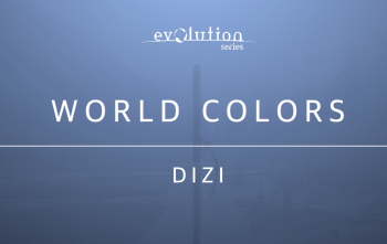 Evolution Series World Colors Dizi v1.0 KONTAKT screenshot