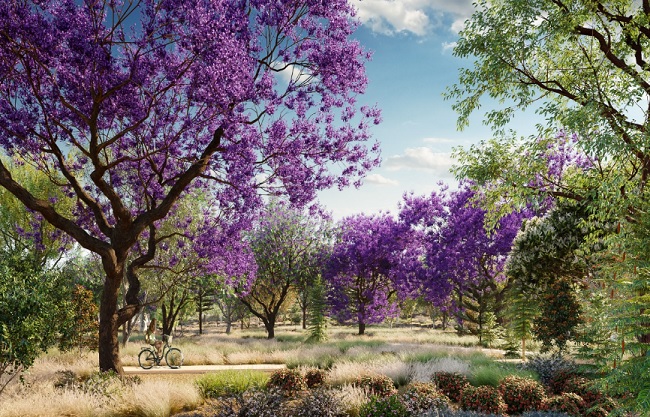 Globe Plants – Bundle 08 – Oceania Trees