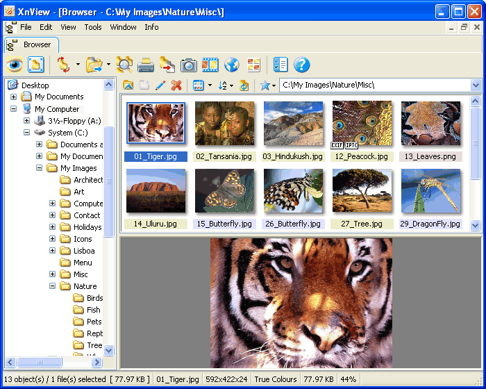 XnView 1.98.1 Complete Multilanguage