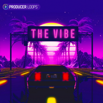 Producer Loops The Vibe MULTi-FORMAT-DISCOVER screenshot