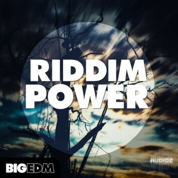 Big EDM Riddim Power WAV MiDi SERUM