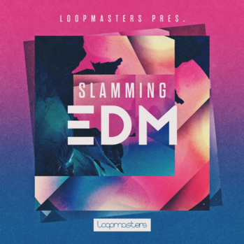 Loopmasters Slamming EDM MULTi-FORMAT-DISCOVER
