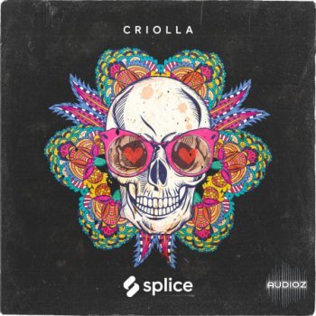 Splice Originals Criolla Latin Percussion WAV screenshot