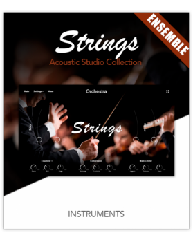 Muze Strings Ensemble KONTAKT screenshot