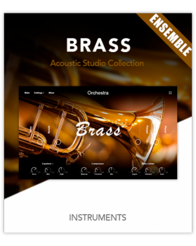 Muze Brass Ensemble KONTAKT screenshot