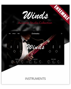 Muze Woodwinds Ensemble KONTAKT screenshot