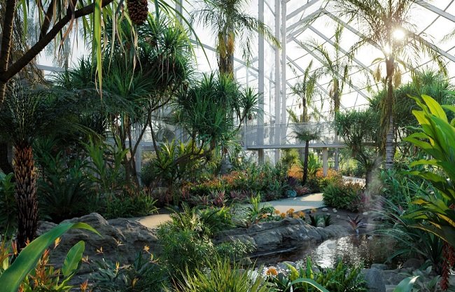 Globe Plants – Bundle14 – Tropical Garden 02