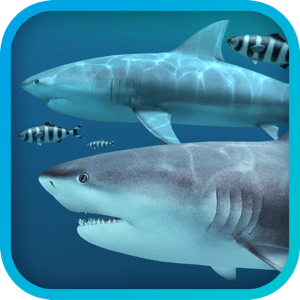 Sharks 3D 2.0.5 MacOS