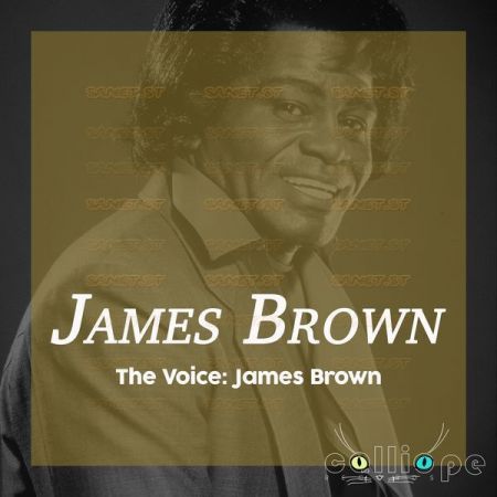 James Brown – The Voice James Brown (2021)