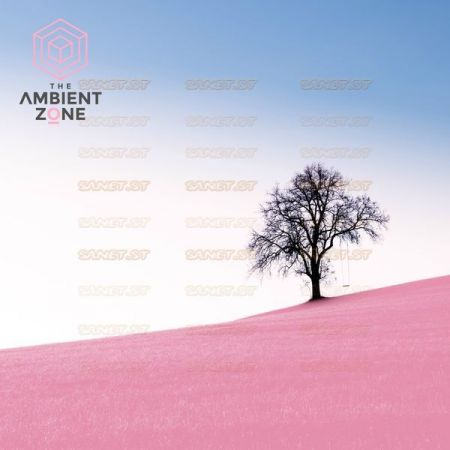 Various Artists – Piano 001 The Ambient Zone (2021)