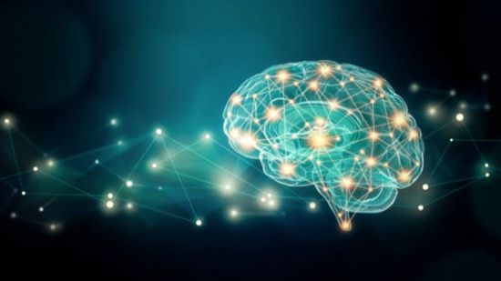 Neuroplasticity: The Ultimate Brain Rewiring Formula 3.0