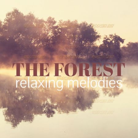 Various Artists – The Forest Relaxing Melodies (2021)