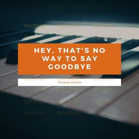 Various Artists – Hey That’s No Way To Say Goodbye (2021)
