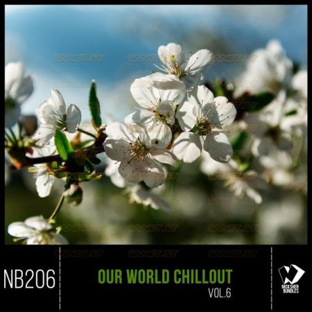 Various Artists – Our World Chillout Vol. 6 (2021)