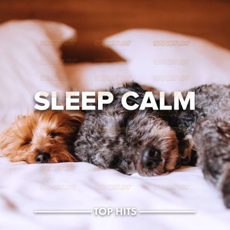 Various Artists – Sleep Calm (2021)