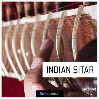 Pulsed Records World Series Indian Sitar WAV MIDI-DECiBEL screenshot