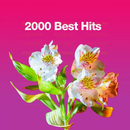 Various Artists – 2000 Best Hits (2021) mp3, flac