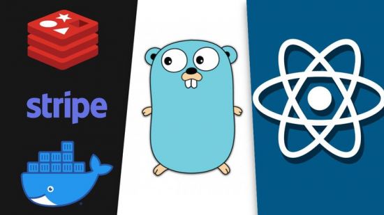 React, NextJS and Golang: A Rapid Guide – Advanced