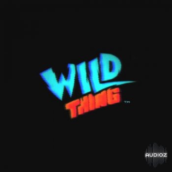 NoLyrics Wild Thing WAV MIDI-DECiBEL screenshot