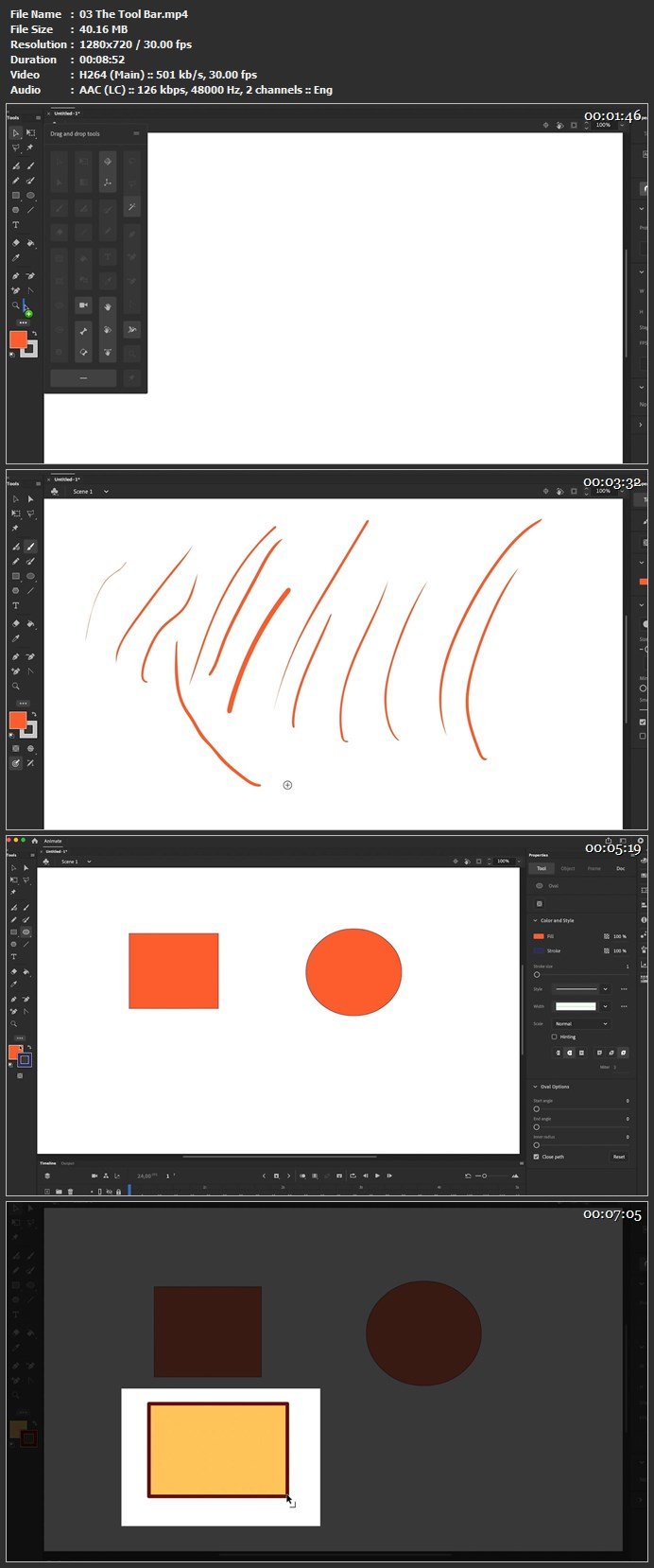 Graphic Design in Adobe Animate