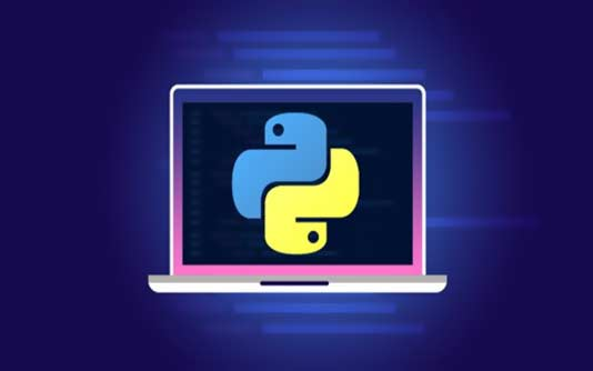 Python Programming for Beginners : Learn Python Quickly