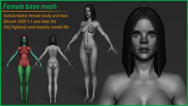 3D Model Collection 1 Aug 2021