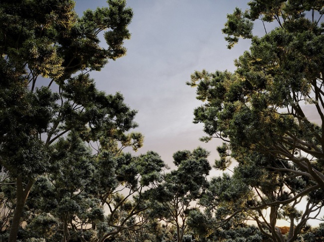CG Helios – HeliosVegetation vol.2