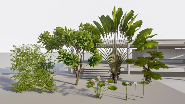 Lumion Trees 3D Models Collection
