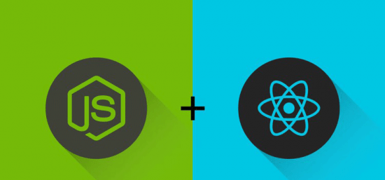 React and Node.js Project: Build a Torrent Search Engine