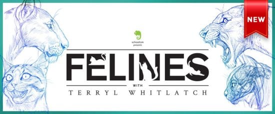 Schoolism – Felines with Terryl Whitlatch
