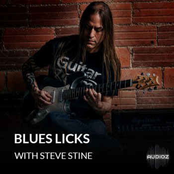 GuitarZoom Blues Licks Limited Edition with Steve Stine 2020 TUTORiAL