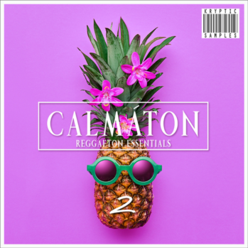 Kryptic Samples Calmaton 2 WAV MiDi-DISCOVER
