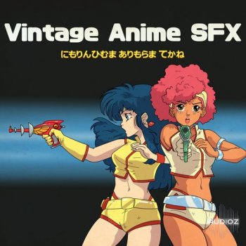 Moon Echo Audio Vintage Anime SFX WAV screenshot