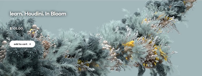 Helloluxx – Learn Houdini In Bloom