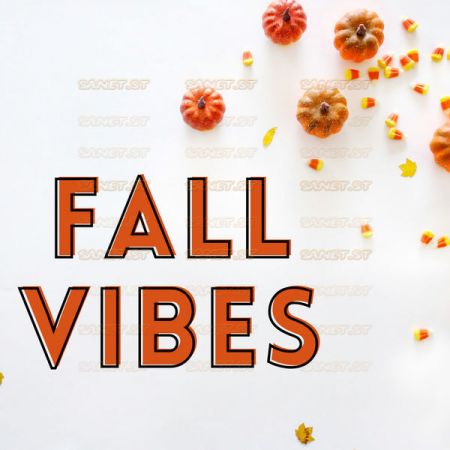 Various Artists – Fall Vibes 2021 (2021)