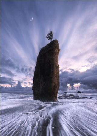 Ted Gore – Abandoned