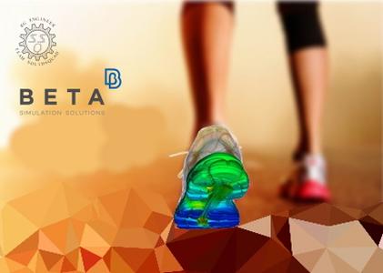 BETA-CAE Systems 21.1.6