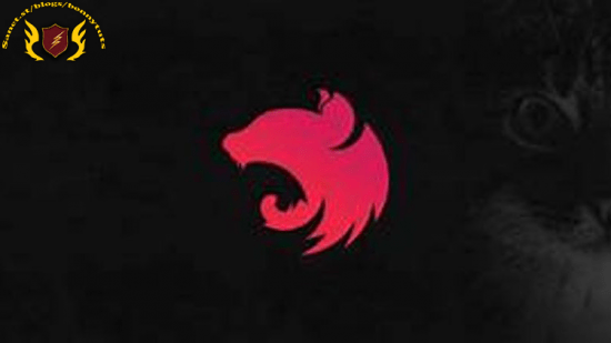 Nest JS Advance Course