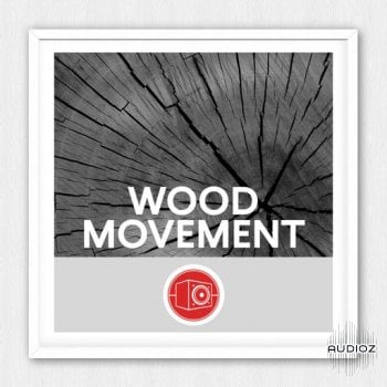 Big Room Sound Wood Movement WAV-FANTASTiC