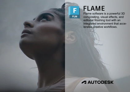 Autodesk Flame 2023.0