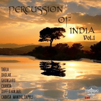 GBR Percussion Percussion Of India Vol.1 WAV REX KONTAKT-FANTASTiC