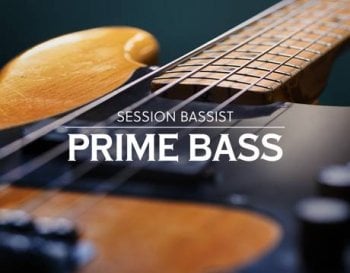 Native Instruments Session Bassist Prime Bass KONTAKT screenshot
