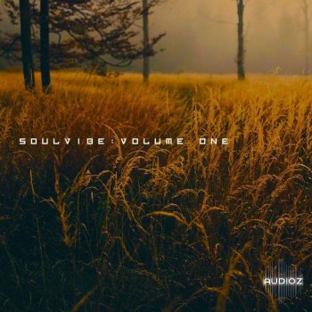 KAN Samples Soulvibe Vol.1 WAV screenshot