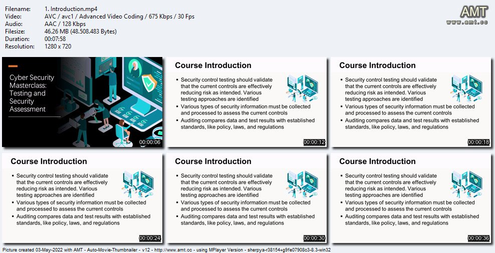 Cyber Security Masterclass: Testing and Security Assessment