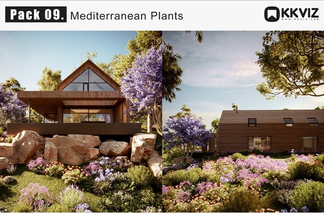 KKVIZ – Pack 09 – Mediterranean Plants