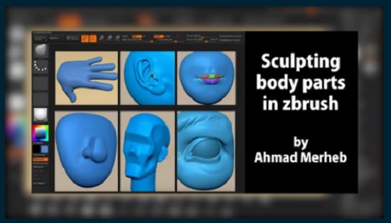 Skillshare – Sculpting Body Parts in Zbrush For Animation Ahamd Merheb