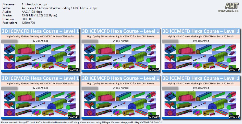 ICEMCFD Master Class (Level 1)